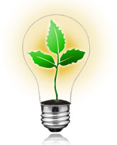 Energy Basics